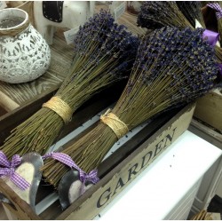 Bukiet Suszonej Lawendy Duży