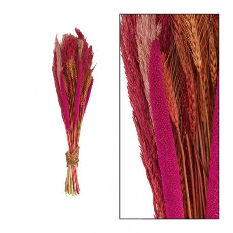 Suszona Trawa Pampasowa Belldeco Brąz 1