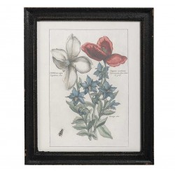 Obraz Retro Belldeco Kwiaty 1