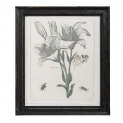 Obraz Retro Belldeco Kwiaty 2