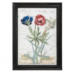 Obraz Retro Belldeco Kwiaty 4