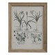 Obraz w Stylu Prowansalskim Chic Antique Floral A