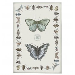 Ścierka Kuchenna Motyle