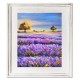 Obraz Prowansalski z Polami Lawendy F