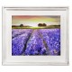 Obraz Prowansalski z Polami Lawendy H