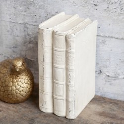 Książki Ozdobne Chic Antique A