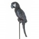 Figurka Dekoracyjna Papuga Aluro