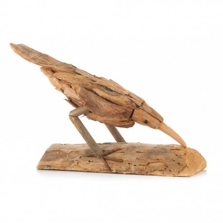 Figurka Dekoracyjna Papuga Aluro