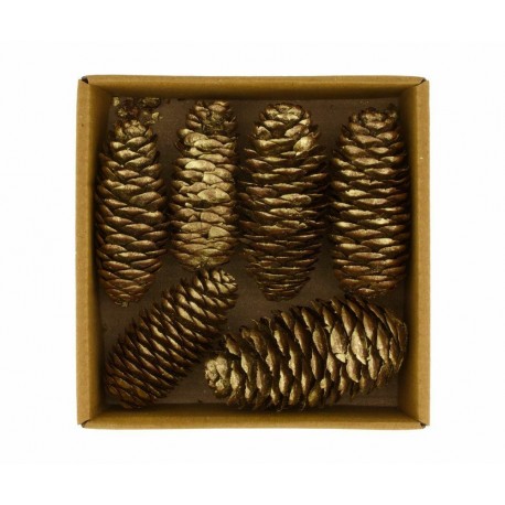 Szyszki Suszone Belldeco Boho 2A