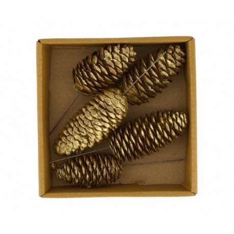 Szyszki Suszone Belldeco Boho 2B