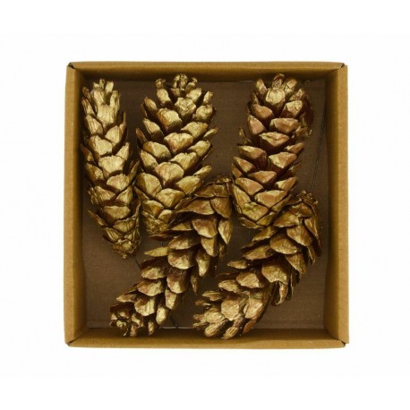 Szyszki Suszone Belldeco Boho 3B