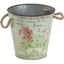 Osłonka Prowansalska