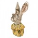 Figurka Zając w Ubraniu C Clayre & Eef