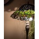 Lampa Tiffany Stołowa Q Clayre & Eef