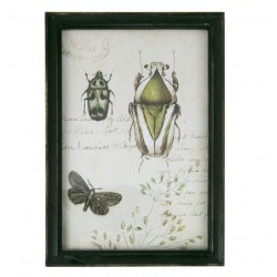 Obraz z Owadami 3