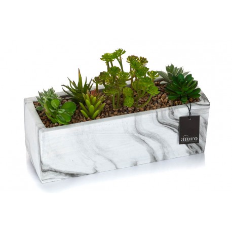 Sztuczne Kaktusy w Osłonce