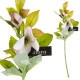 Roślina Sztuczna Aluro Ciemiernik Biały