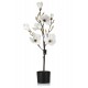 Sztuczna Magnolia w Doniczce Aluro