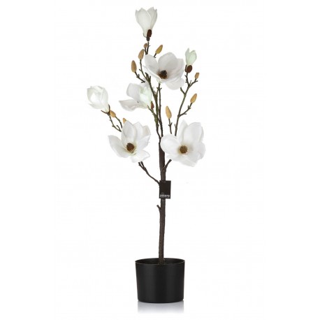 Sztuczna Magnolia w Doniczce Aluro