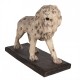 Figura Lwa A Clayre & Eef