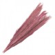 Suszone Trawy Pampasowe Bukiet 100 cm B Clayre & Eef