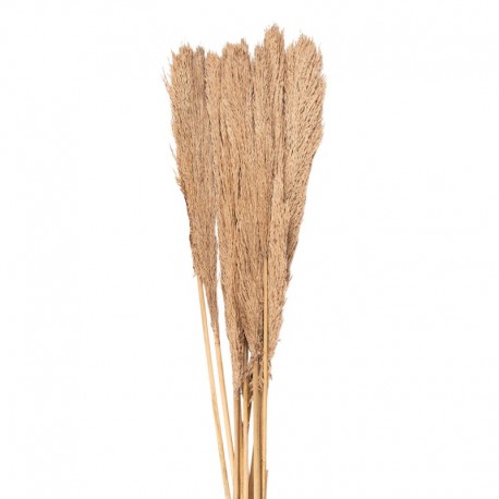 Suszone Trawy Pampasowe Bukiet 100 cm J Clayre & Eef