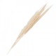 Suszone Trawy Pampasowe Bukiet 90 cm A Clayre & Eef