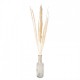Suszone Trawy Pampasowe Bukiet 90 cm A Clayre & Eef
