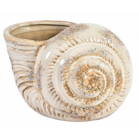 Osłonka Belldeco Muszla Piasek Pustyni A