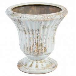 Puchar Belldeco Włoskie Niebo 1A