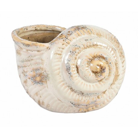 Osłonka Belldeco Muszla Piasek Pustyni B