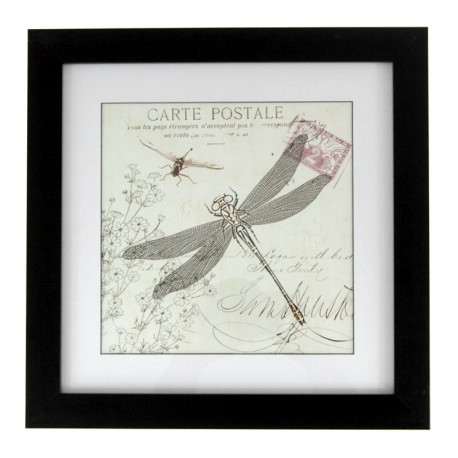 Obraz Prowansalski z Ważkami 1