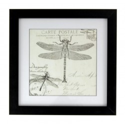 Obraz Prowansalski z Ważkami 1