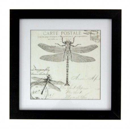 Obraz Prowansalski z Ważkami 1