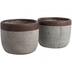 Szara Osłonka Belldeco 1A