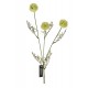 Roślina Sztuczna Aluro Gałąź Łopianu