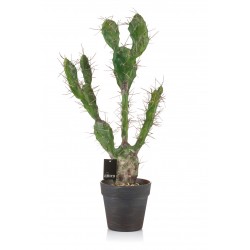Sztuczny Kaktus w Donicy Aluro Opuncja