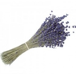 Bukiet Suszonej Lawendy Duży