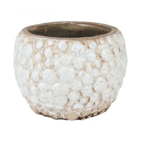 Osłonka Belldeco Delia Pękata 1B