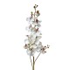 Sztuczna Orchidea Gałązka B Clayre & Eef