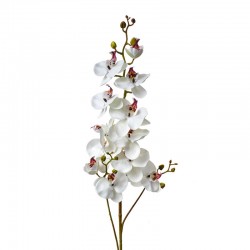 Sztuczna Orchidea Gałązka B Clayre & Eef