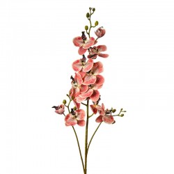 Sztuczna Orchidea Gałązka C Clayre & Eef