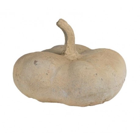 Dynia Belldeco Garden Old