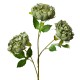 Sztuczne Kwiaty Zielone 80 cm Clayre & Eef