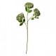 Sztuczne Kwiaty Zielone 80 cm Clayre & Eef