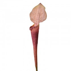 Sztuczny Kwiat Fioletowy 75 cm Clayre & Eef