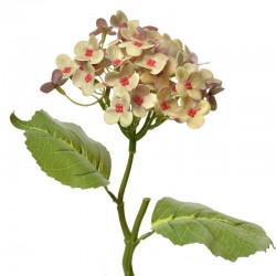 Sztuczne Kwiaty Polne P Clayre & Eef