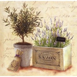 Obraz Lawenda z Oliwką