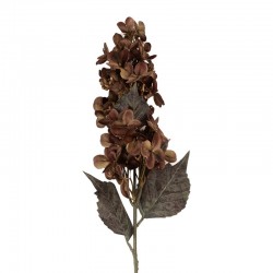 Sztuczne Kwiaty Suszone 70 cm B Clayre & Eef