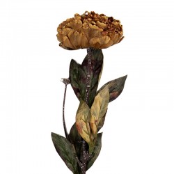 Sztuczne Kwiaty Suszone 65 cm A Clayre & Eef